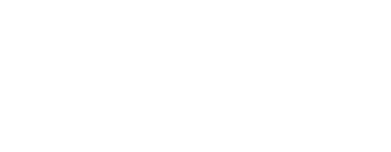 logo-ns.png
