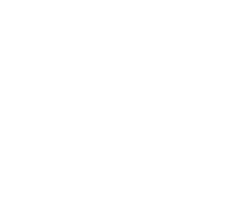 logo_cz_wit.png