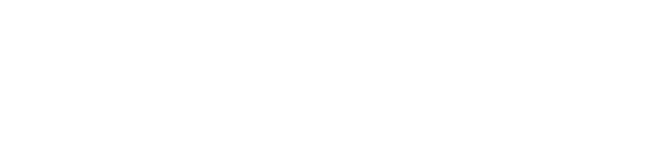 logo_vu_wit.png